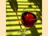 Wein hat auch in Argentinien Tradition: Weinfest in Mendoza vom Februar bis März