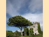 Menlo castle bei Galway in Irland - Neues Marriott-Courtyard wird 2006 erffnet